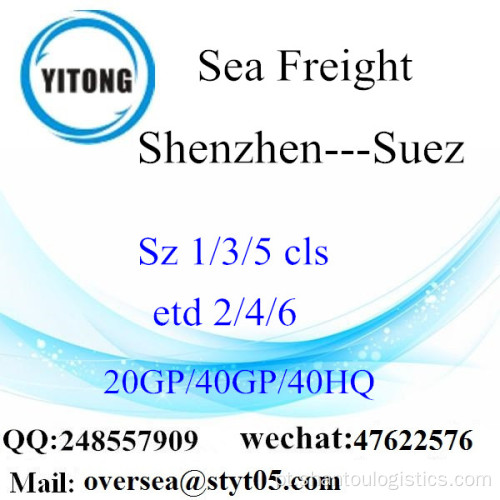 Shenzhen Port Sea Freight Shipping Para Suez